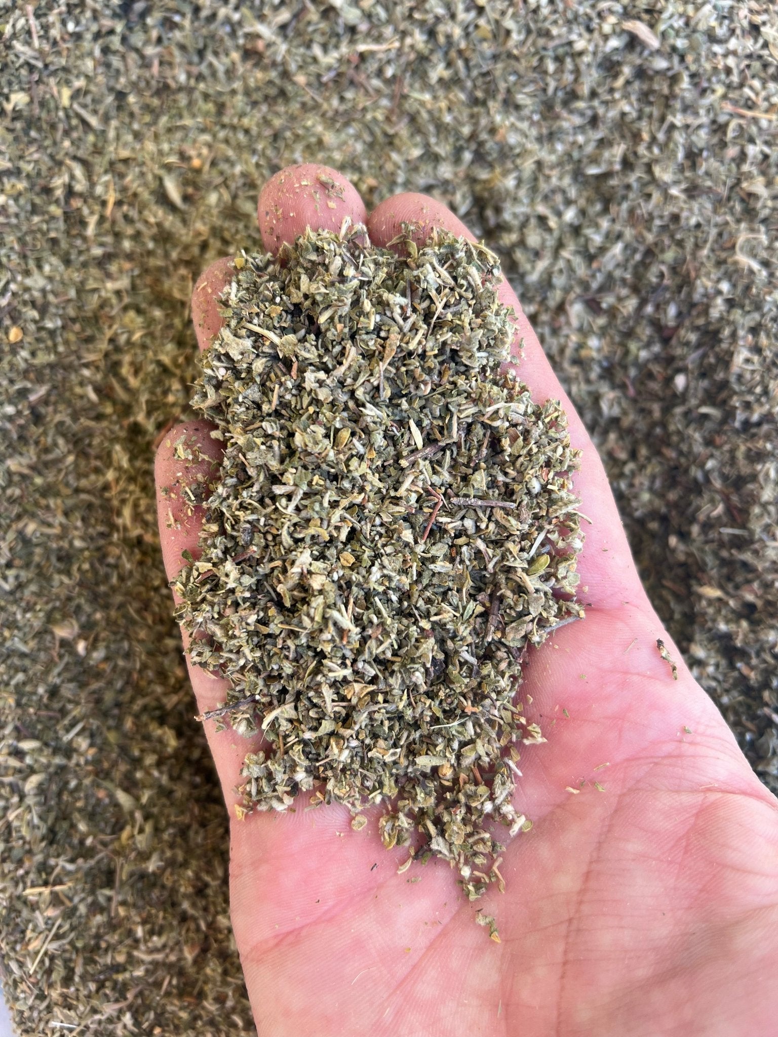 Damiana + Herbie king size rizle (poklon) - Herbie.hr