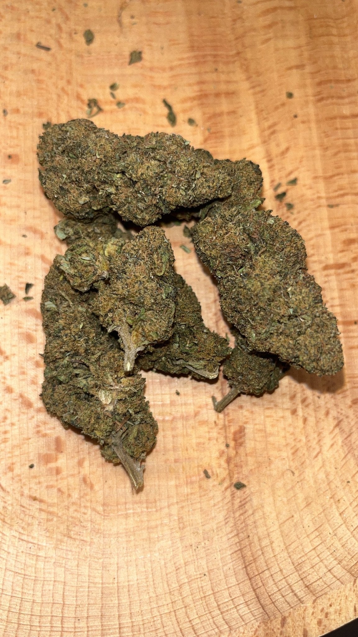 Amnesia Ready + Herbie King Size rizle - Herbie.hr