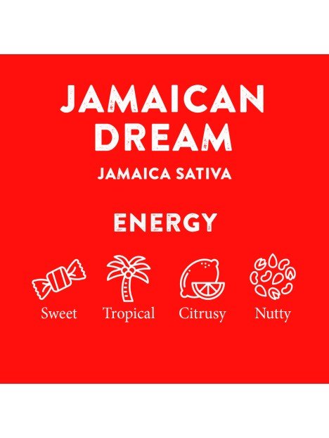 Cali Terps Spray 5ml - Herbie