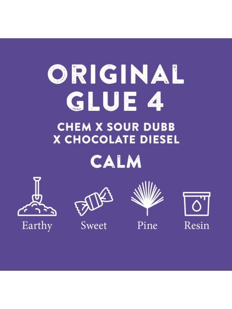 Cali Terps Spray 5ml - Herbie