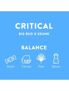 Cali Terps Spray 5ml - Herbie