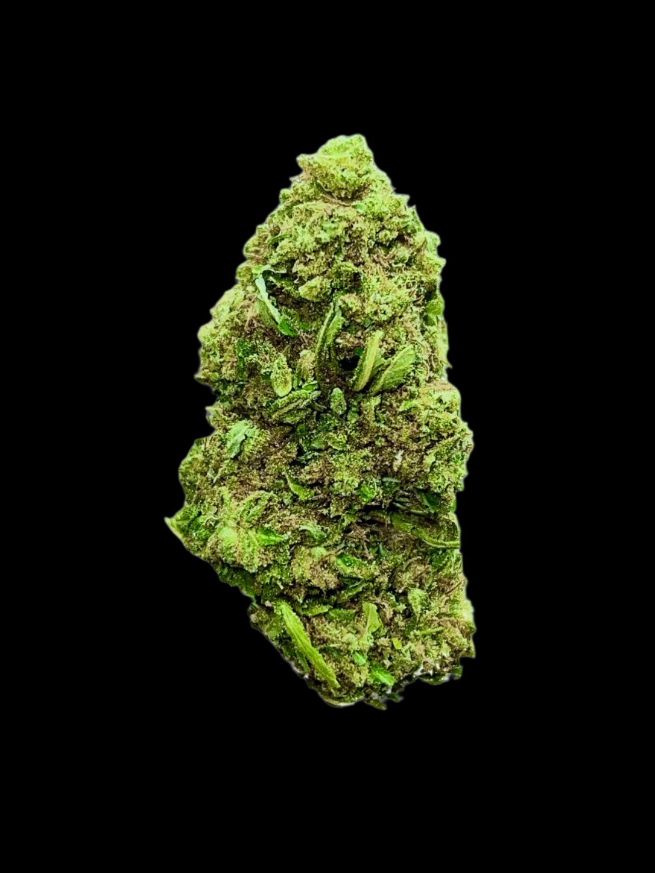 CROcodila Haze PREMIUM CBD cvijet 5g - 50g + Herbie king size rizle s filterima - Herbie