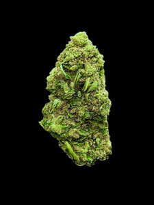 CROcodila Haze PREMIUM CBD cvijet 5g - 50g + Herbie king size rizle s filterima - Herbie