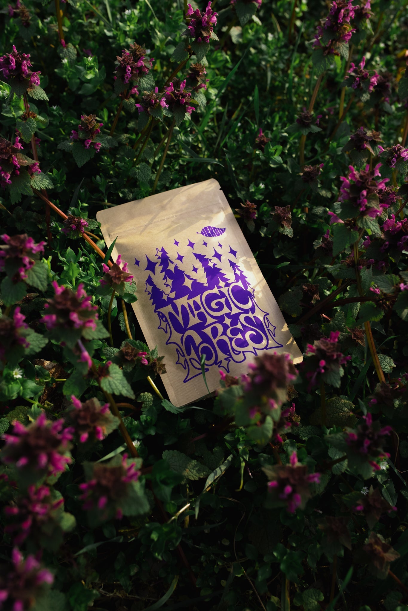 Herbie Magic Forest paket - Herbie.hr