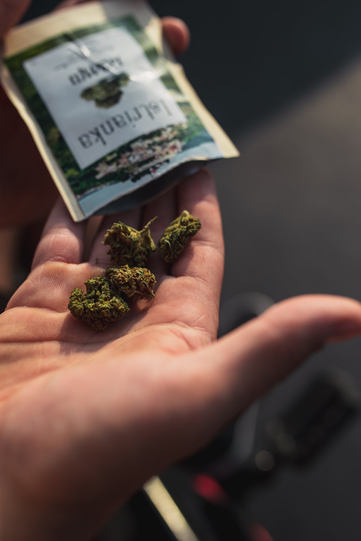 Istrianka CBG cvijet 1G + veliki Herbie paket 25G - Herbie.hr