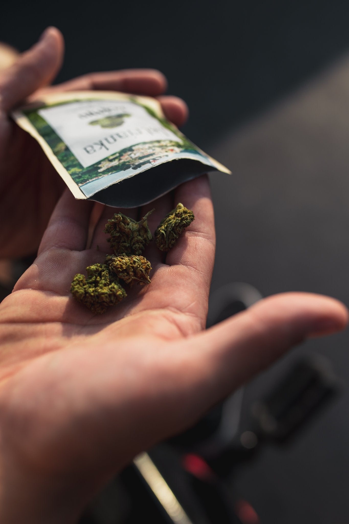 Istrianka CBG cvijet 1G + veliki Herbie paket 25G - Herbie.hr