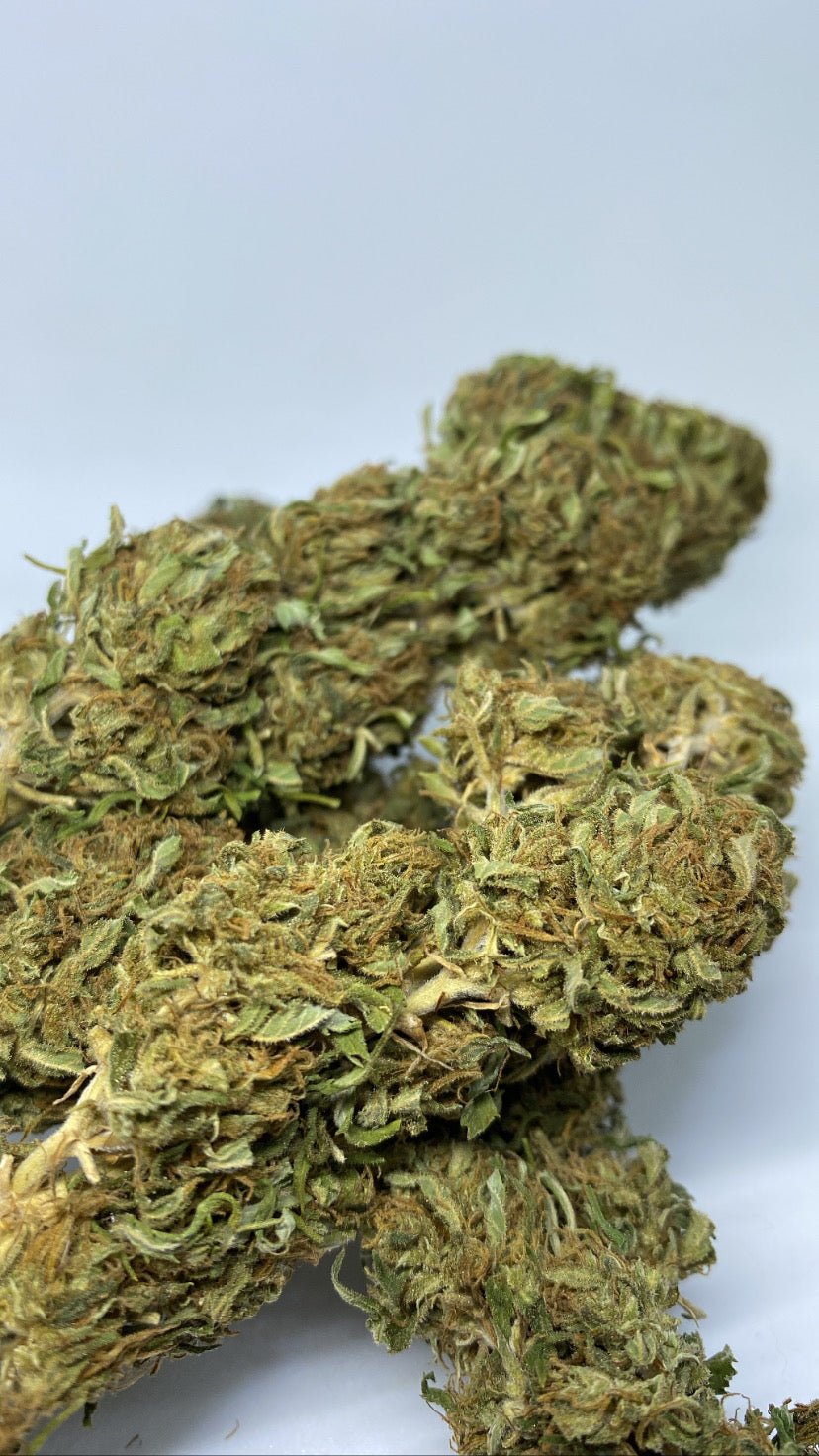 Skeni CBD cvijet 25g + CROcodila Haze CBD cvijet 25g - Herbie.hr