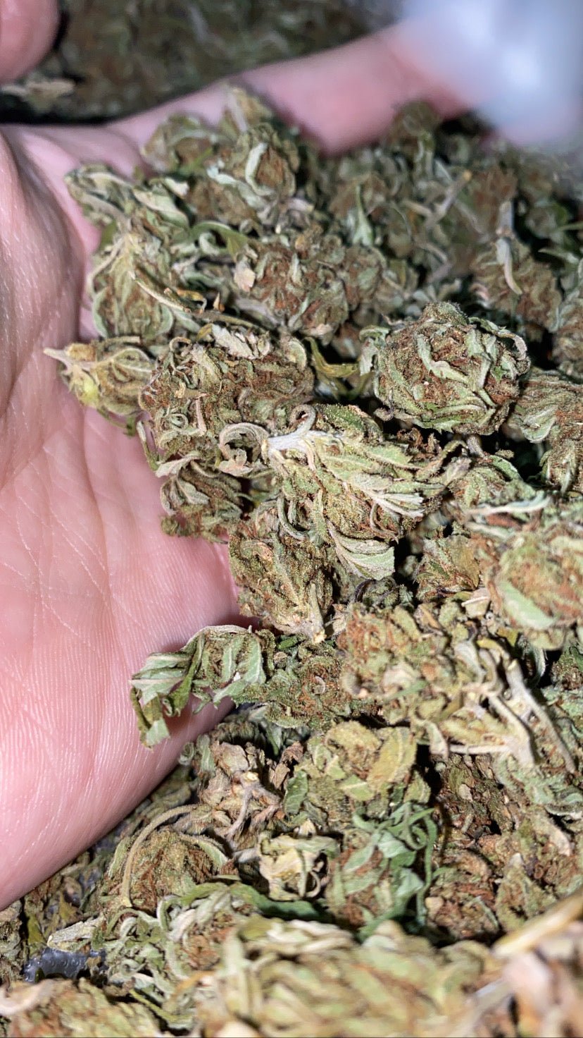 Skeni CBD cvijet popcorn 30g-60g + Herbie king size rizle s filterima - Herbie