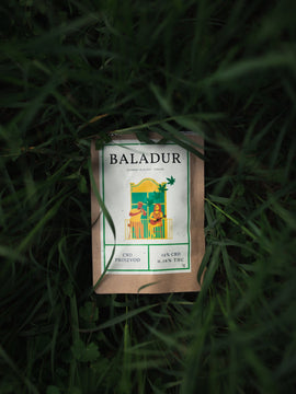 Baladur CBD flower 1G + large Herbie pack 25G
